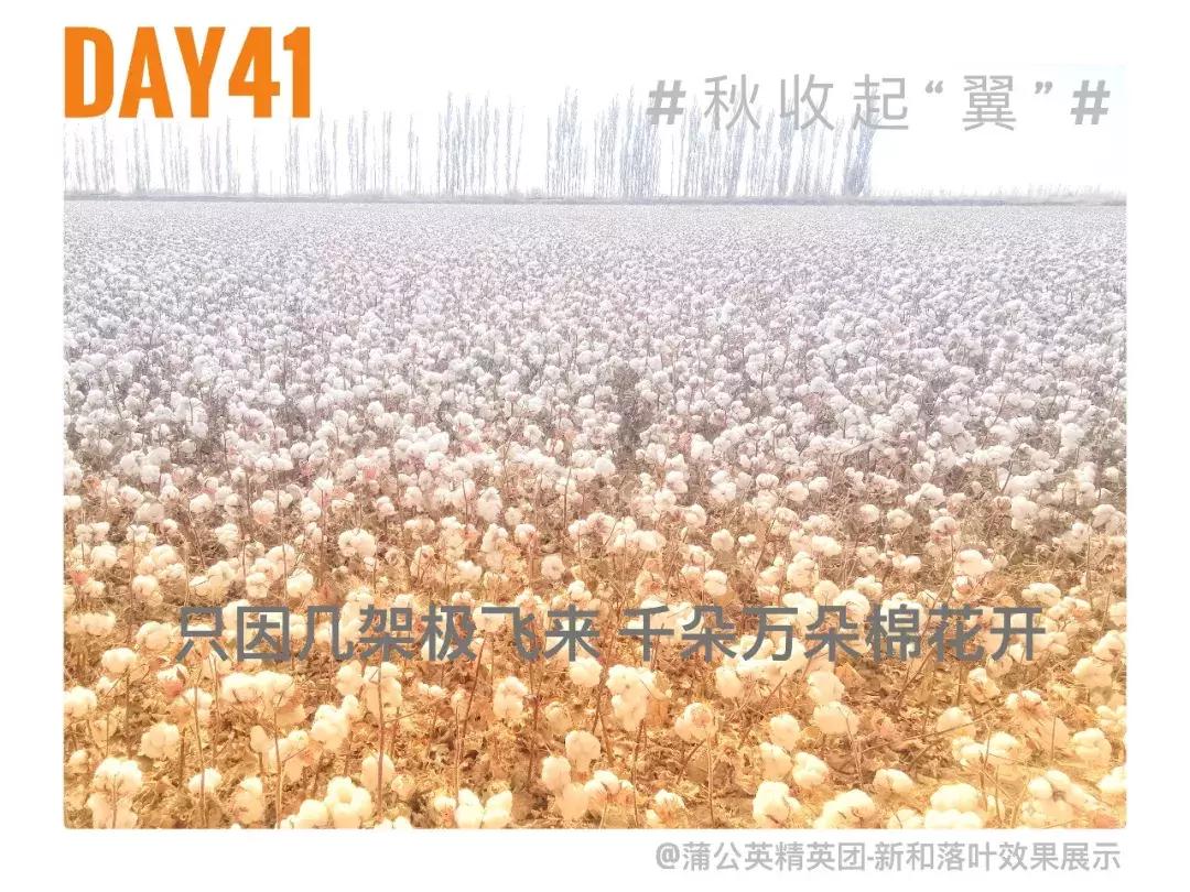 备好酒，听我们秋收起“翼”的故事！