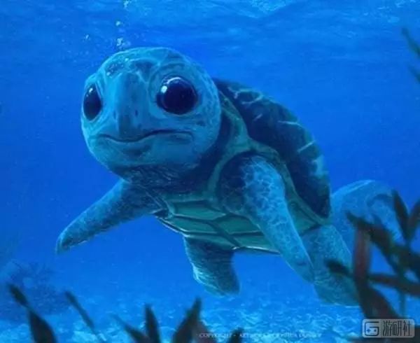 现实世界里有各种各样的宝可梦,真实世界的宝可梦长什么样