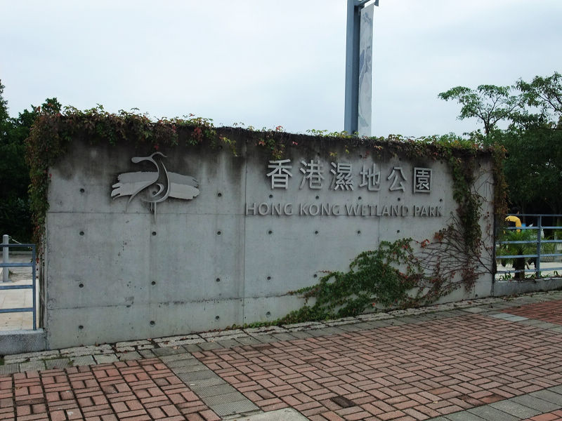 穷驴旅游,港囧游香港