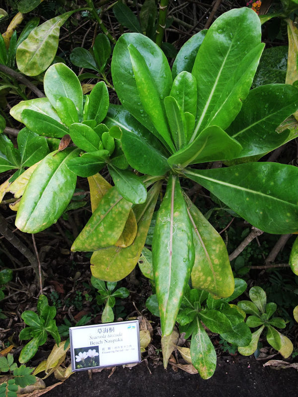 穷驴500块囧囧游香港（详细攻略带图）