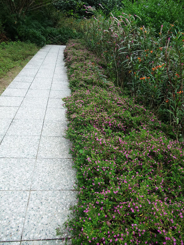 穷驴旅游,港囧游香港