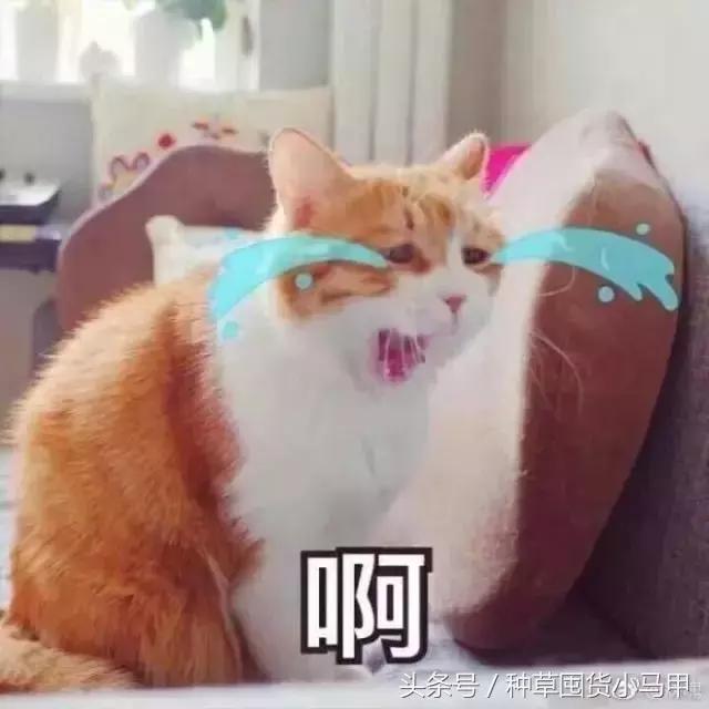 双十一黑榜,双11黑名单曝光