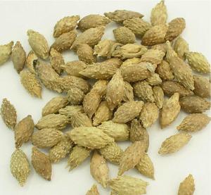 北京老中医王琦博士治鼻炎,国医大师王琦过敏性鼻炎药方