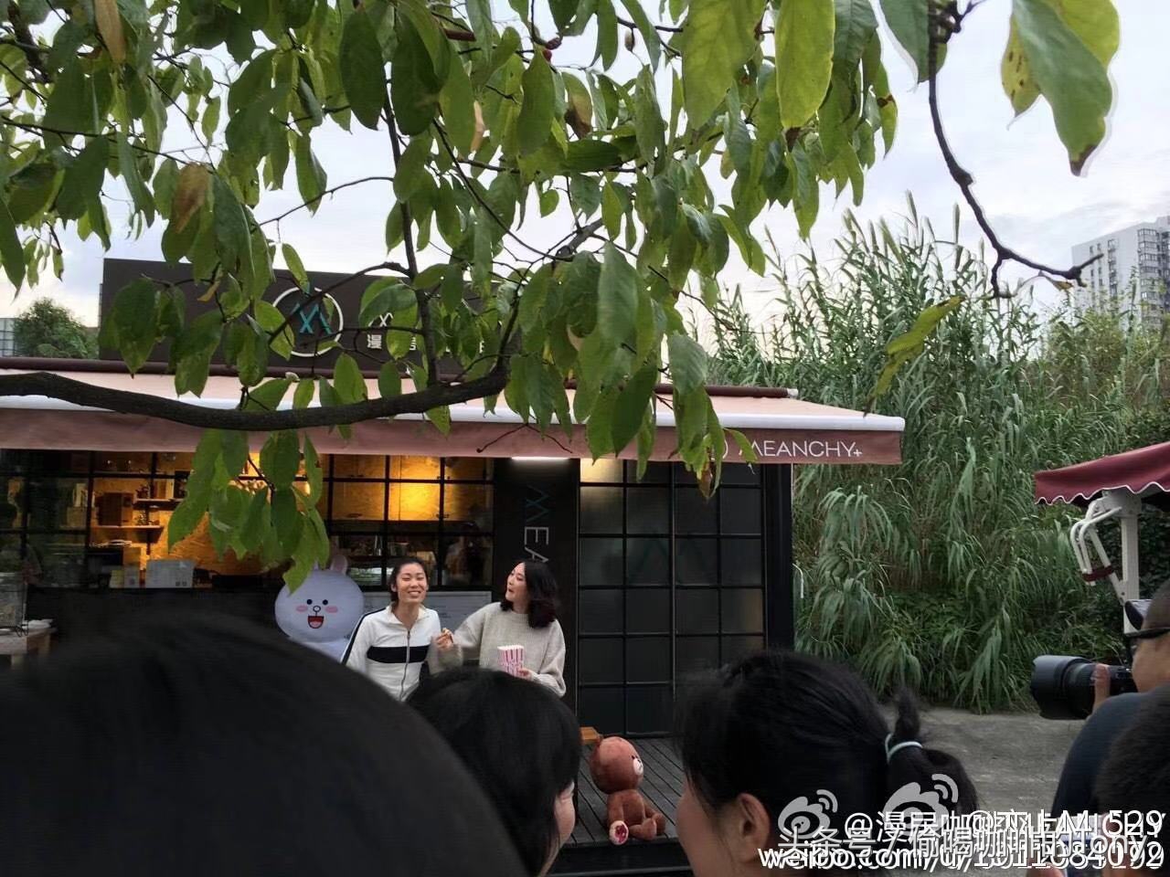 中国女排喝的茶,中国女排喝咖啡