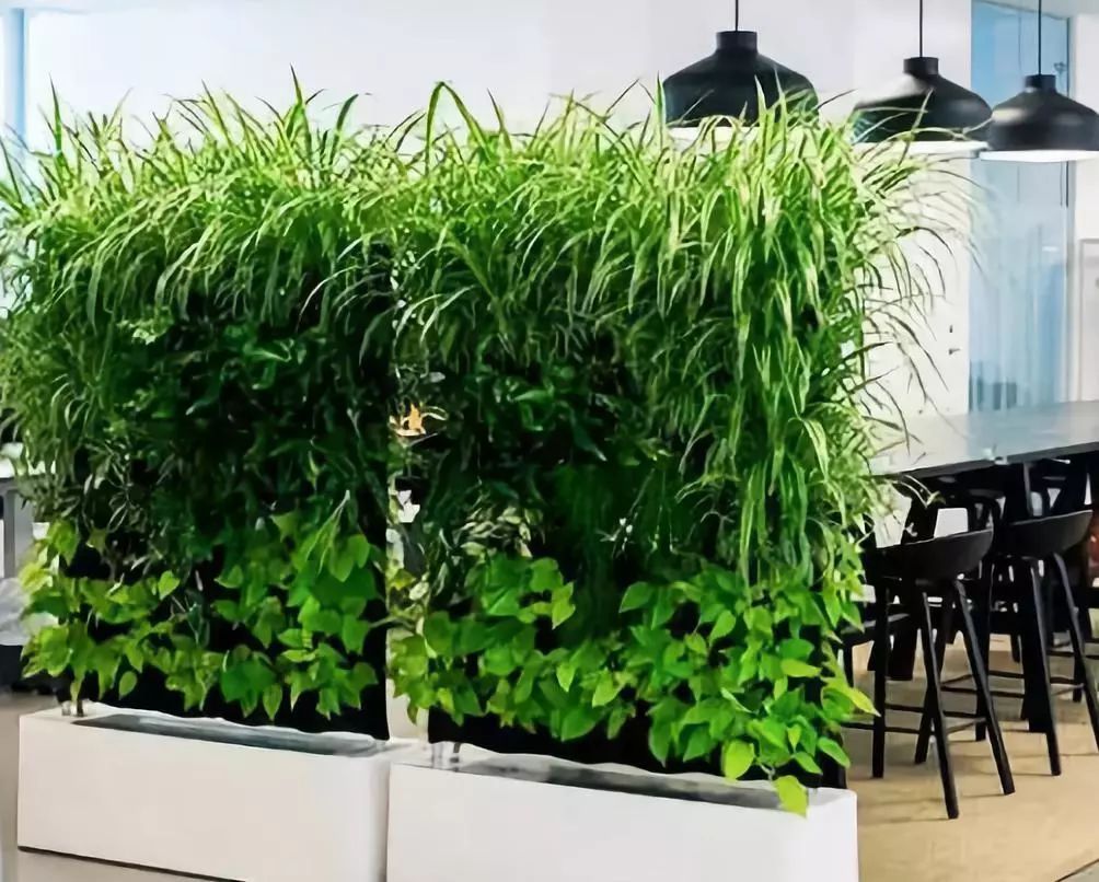 室外墙体屏风图片大全,绿化屏风