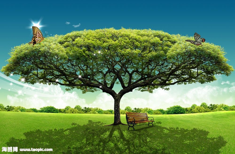 一年级的家长看过来,一年级家长看生字