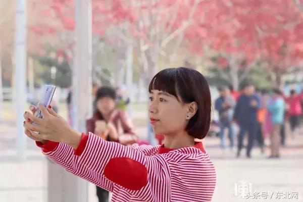 哈尔滨高校打卡,哈尔滨的风向标著名打卡地