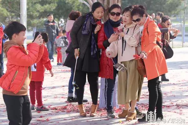 哈尔滨高校打卡,哈尔滨的风向标著名打卡地