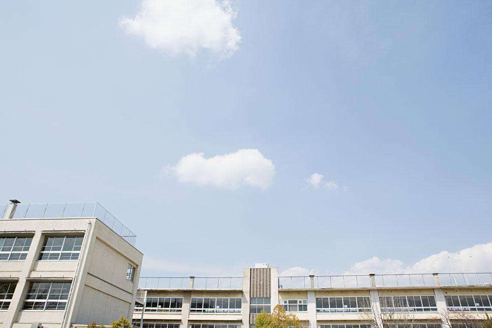 描写校园美好的好句,描写校园的好词好句好段