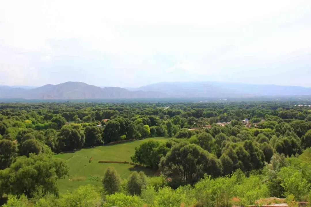 川西高原自行旅行攻略,记一次旅游小学生作文