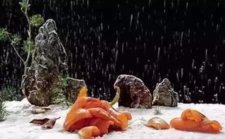 打包盒中的造型凉菜创意菜,15道经典凉菜的做法