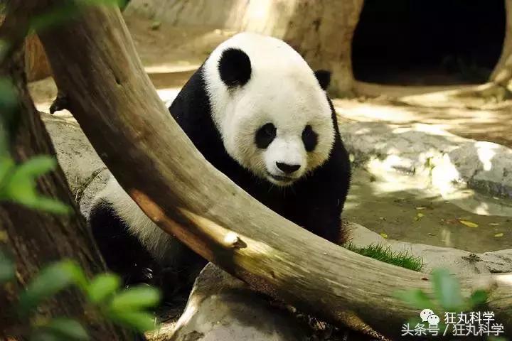 水银不是银是什么,水银不是银是水银