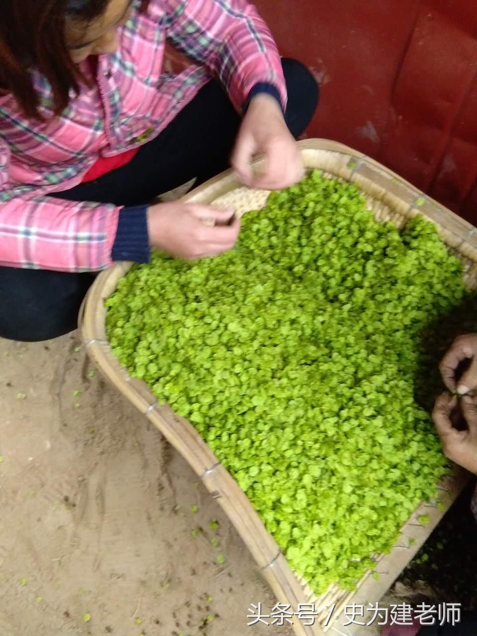 丰县家乡的风俗作文,丰县的家乡风俗500字作文