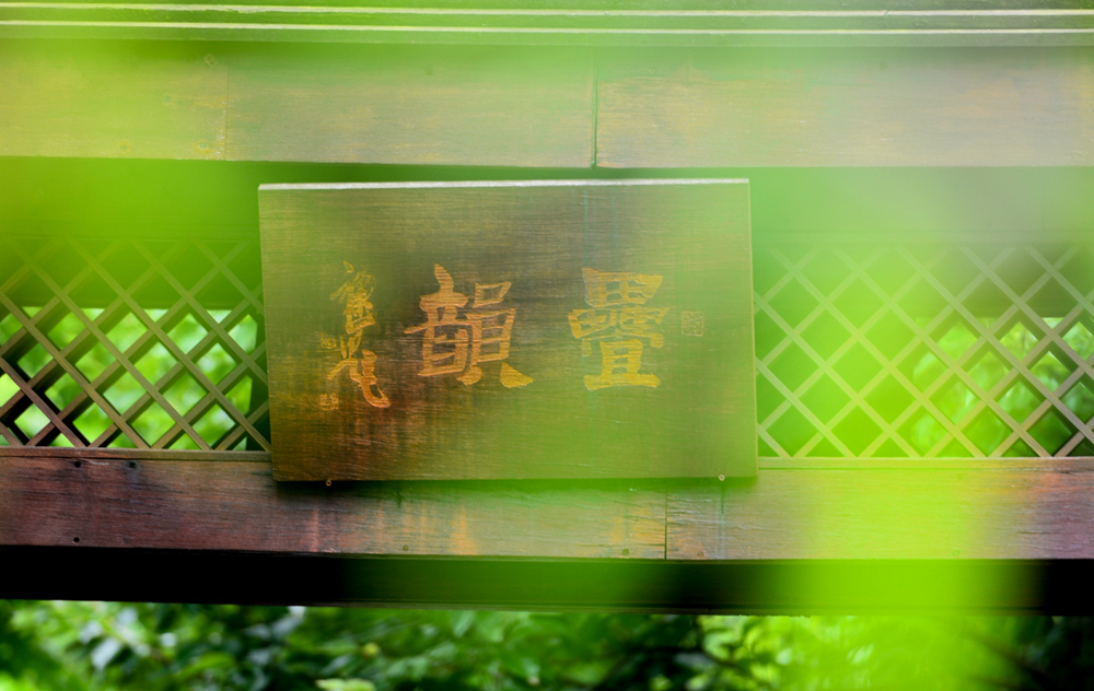 宜兴竹海的风景,推荐一个好的地方宜兴竹海