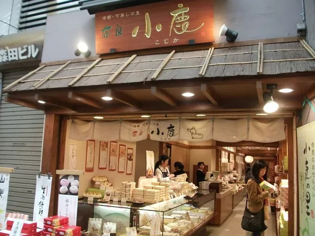 日本奈良小鹿饿到只吃草,聪明的日本奈良小鹿