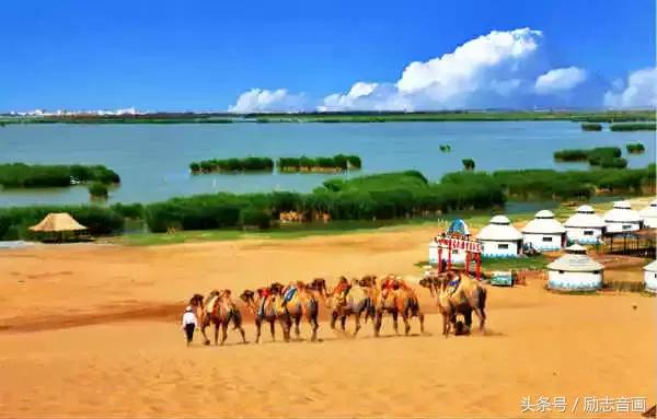 各地水果特产一览表,全国各地零食特产一览表