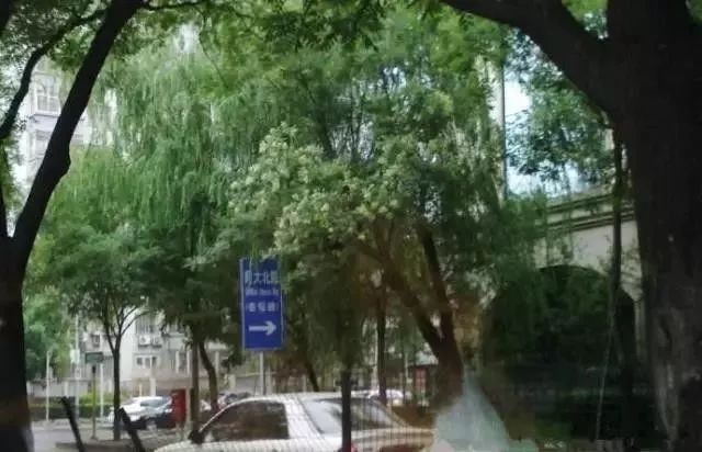 北太平庄简介,北太平庄是什么