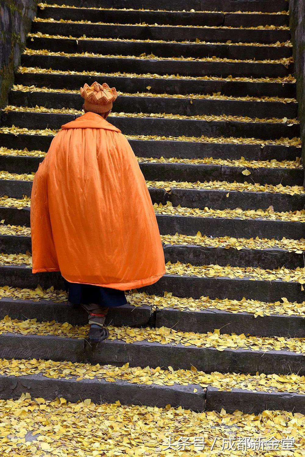 金堂秋色,秋天金堂十大必去景点