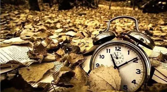 1天14家!网贷“爆雷”案情大曝光:深圳冻结资金超1.56亿