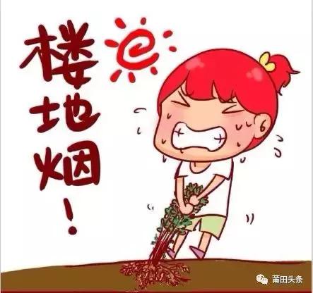 在莆田不能问什么,莆田问题回答