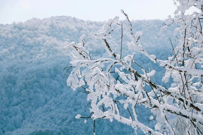 成都花水湾旅游攻略一日游,花水湾西岭雪山二日游