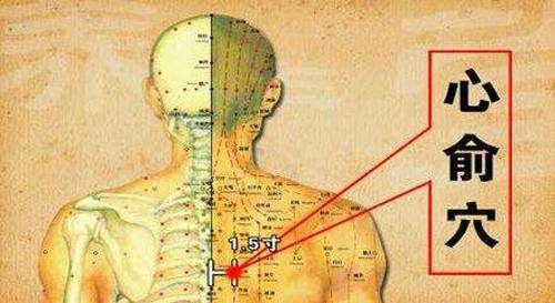 头晕心悸的中药处方,心慌心悸按揉哪个穴位缓解