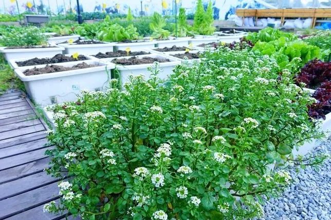 赛车卡丁车武汉,赛车场卡丁车武汉