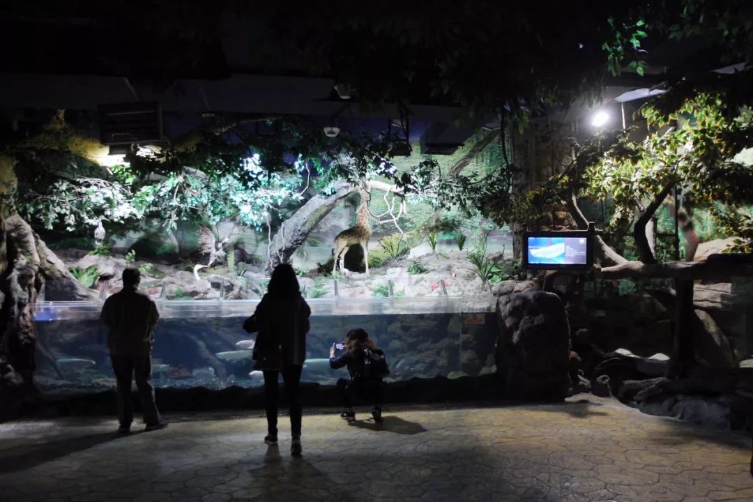 没有人来人往的城市,没有人山人海的地方