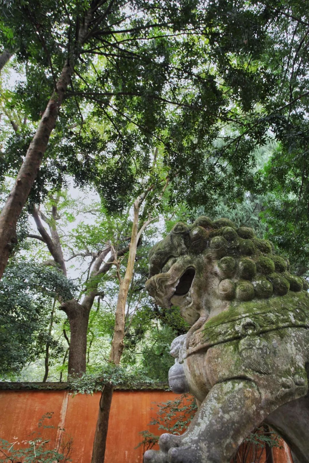 没有人来人往的城市,没有人山人海的地方