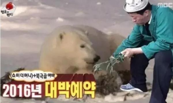 最近最火的搞笑一家人,十大最搞笑一家人