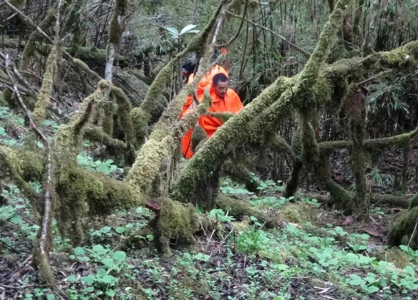 百慕大黑竹沟未解之谜,指南针失效