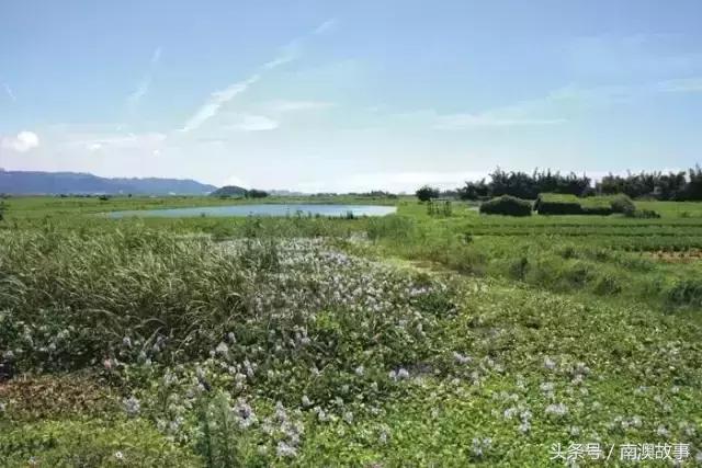 汕头没有什么好玩的地方,汕头有哪些旅游景点