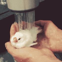 天气越来越冷了洗澡,浴霸冬天洗澡不冷可以吗