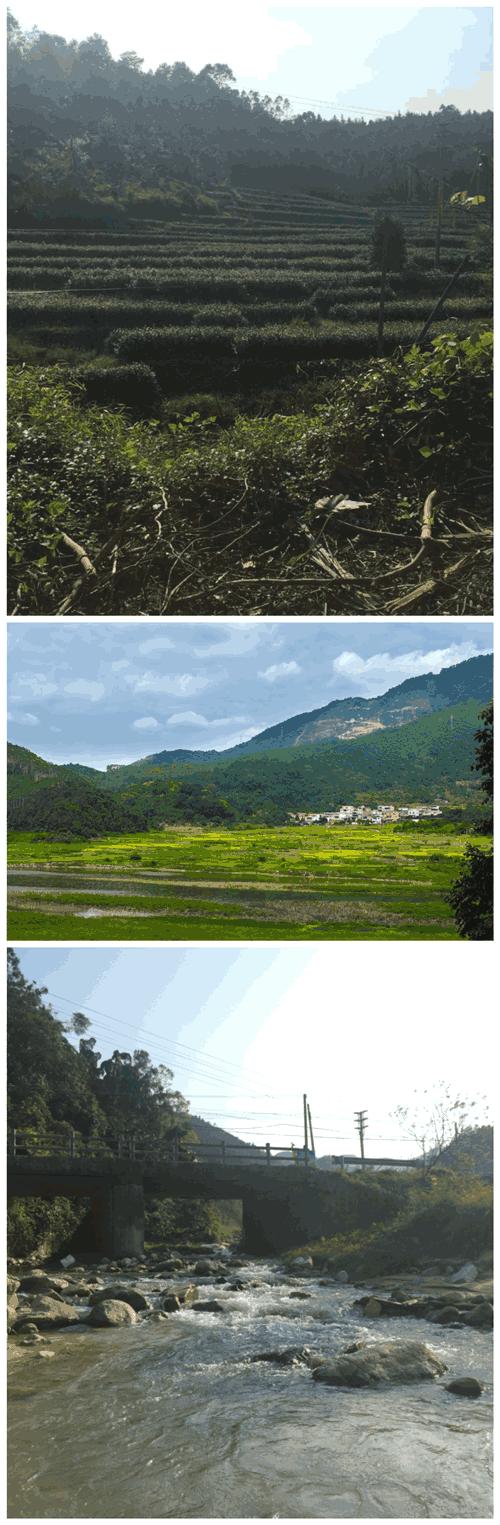 天露山走一转并吃了满意的晚餐，正想发朋友圈，老公：盘子寒碜