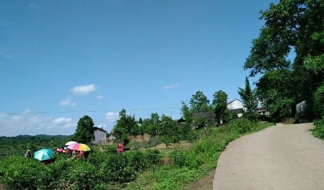 湘西小城故事特别多,小城故事湖南