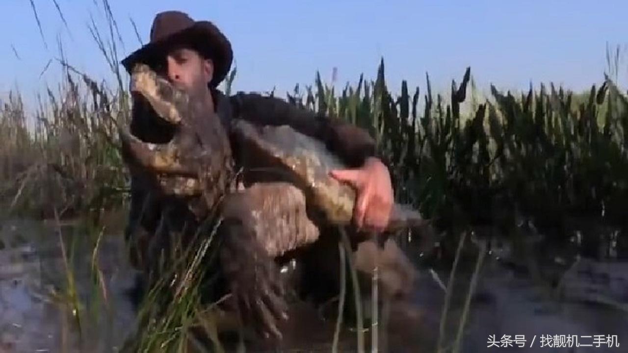 鳄龟的咬合力到底有多变态,鳄龟咬合力有多强大