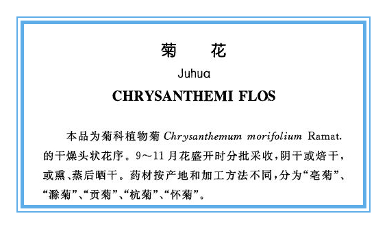 野菊花就是金花草吗,野生菊花与菊花区别