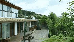 大叔为钓鱼买下一座岛,40岁大叔100块改造房间