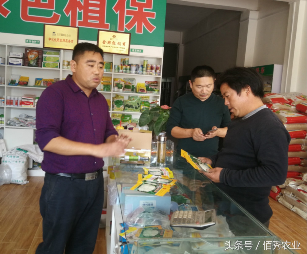 大棚种植什么蔬菜最赚钱,农村种菜赚钱技巧