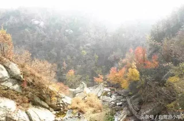 河南省赏红叶一日游,河南省秋天红叶最佳去处