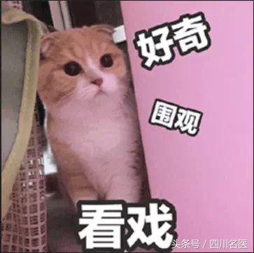 恍恍惚惚，玻尿酸牌子那么多，我该咋个选？值得收藏的实用干货！