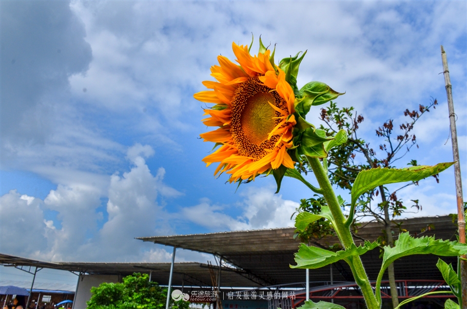 清远碧桂园温泉别墅爱马仕,清远碧桂园别墅旅游度假区