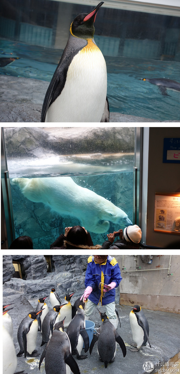 日本旅游要看账户流水不,日本旅行换钱攻略