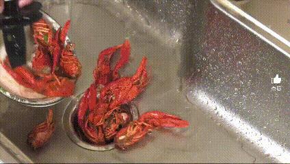 真实体验跟你说大实话：厨房要不要装垃圾处理器？太后悔知道晚了