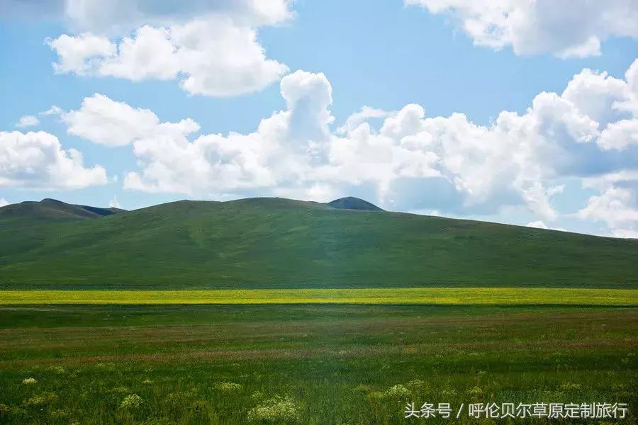 什么是呼伦贝尔大草原,什么是呼伦贝尔