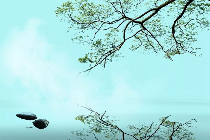 诗词鉴赏常用艺术手法,古典诗词鉴赏之步骤与方法