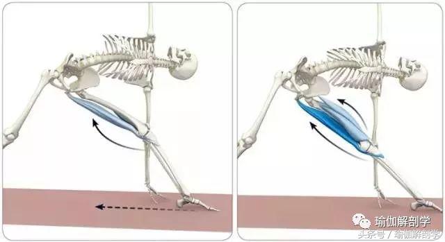 初学者必懂的13个基本瑜伽常识,瑜伽拜日式108遍口令视频中文
