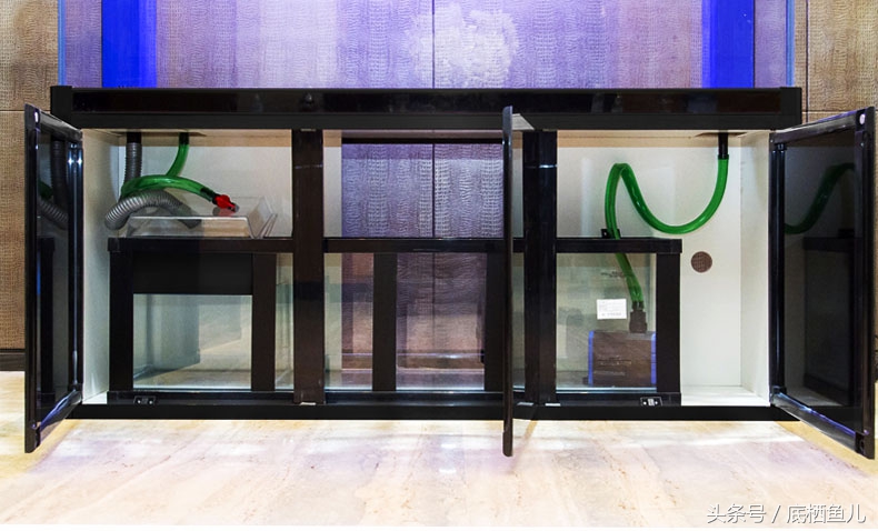 鱼缸有过滤系统为什么水还浑,解决鱼缸水浑最好办法