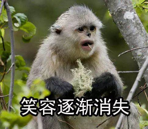 玻尔:丹麦国脚踢进奥运会斩获银牌,跨界当数学家还是菲尔兹主席