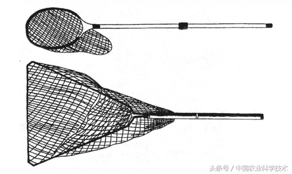 沈凡｜百样钓具实用图解——钓鱼达人必备！